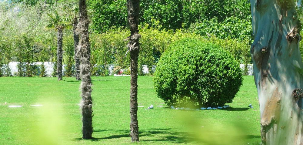 Hotel Eden Park Cilento Ispani Exterior photo